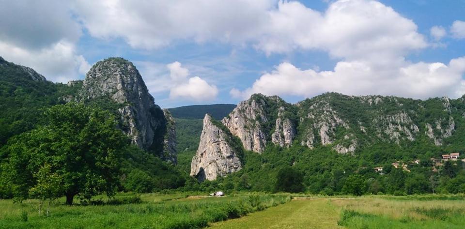 Odmaraliste Vlasko Zdrelo Pirot Exteriör bild
