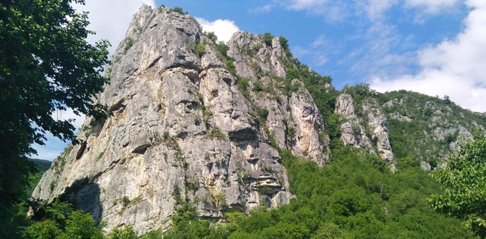 Odmaraliste Vlasko Zdrelo Pirot Exteriör bild