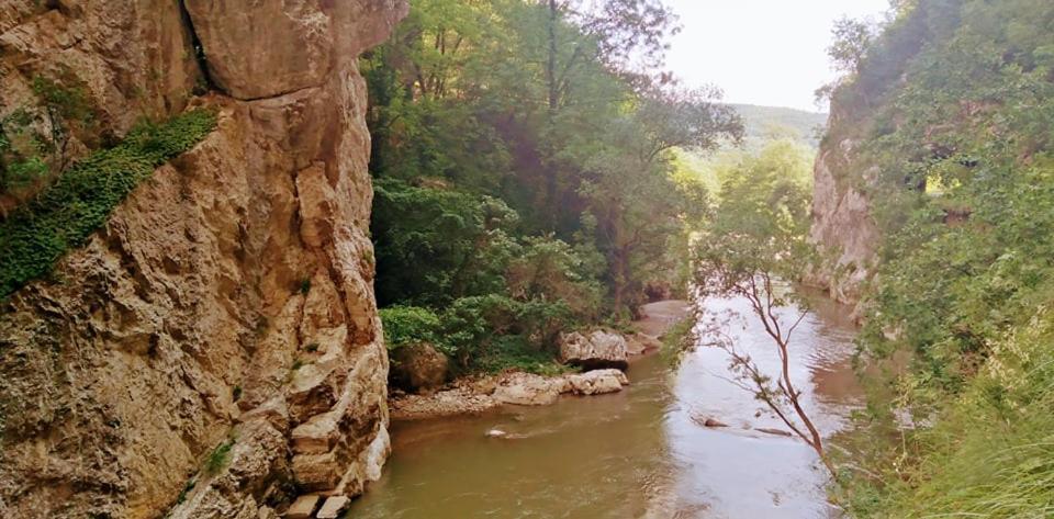 Odmaraliste Vlasko Zdrelo Pirot Exteriör bild