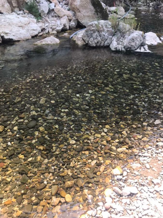Odmaraliste Vlasko Zdrelo Pirot Exteriör bild