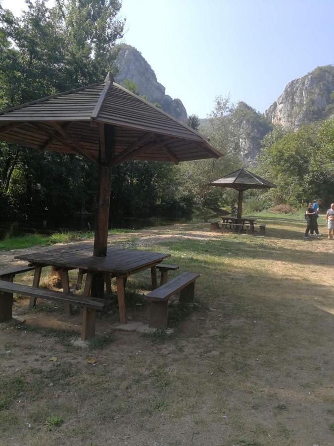 Odmaraliste Vlasko Zdrelo Pirot Exteriör bild